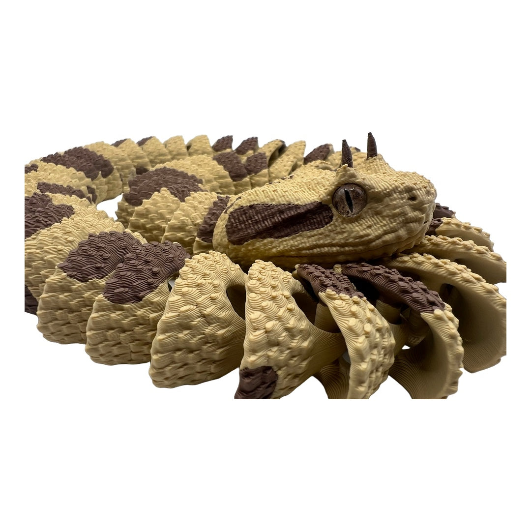 Hornviper – Die Wüstenschönheit mit den hypnotischen Augen!