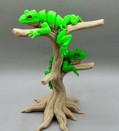 Laubfrosch – Der grüne Kletterkünstler für dein Zuhause!