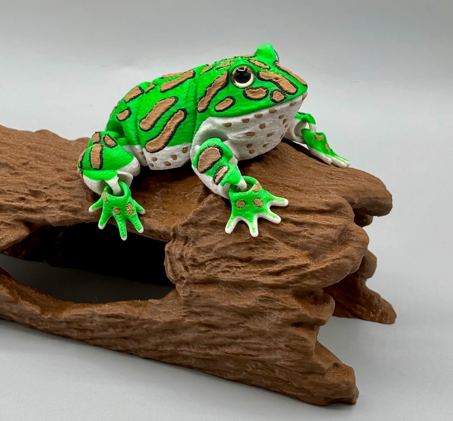 Schmuckhornfrosch  – Der gefräßige Hüpfer für dein Regal!