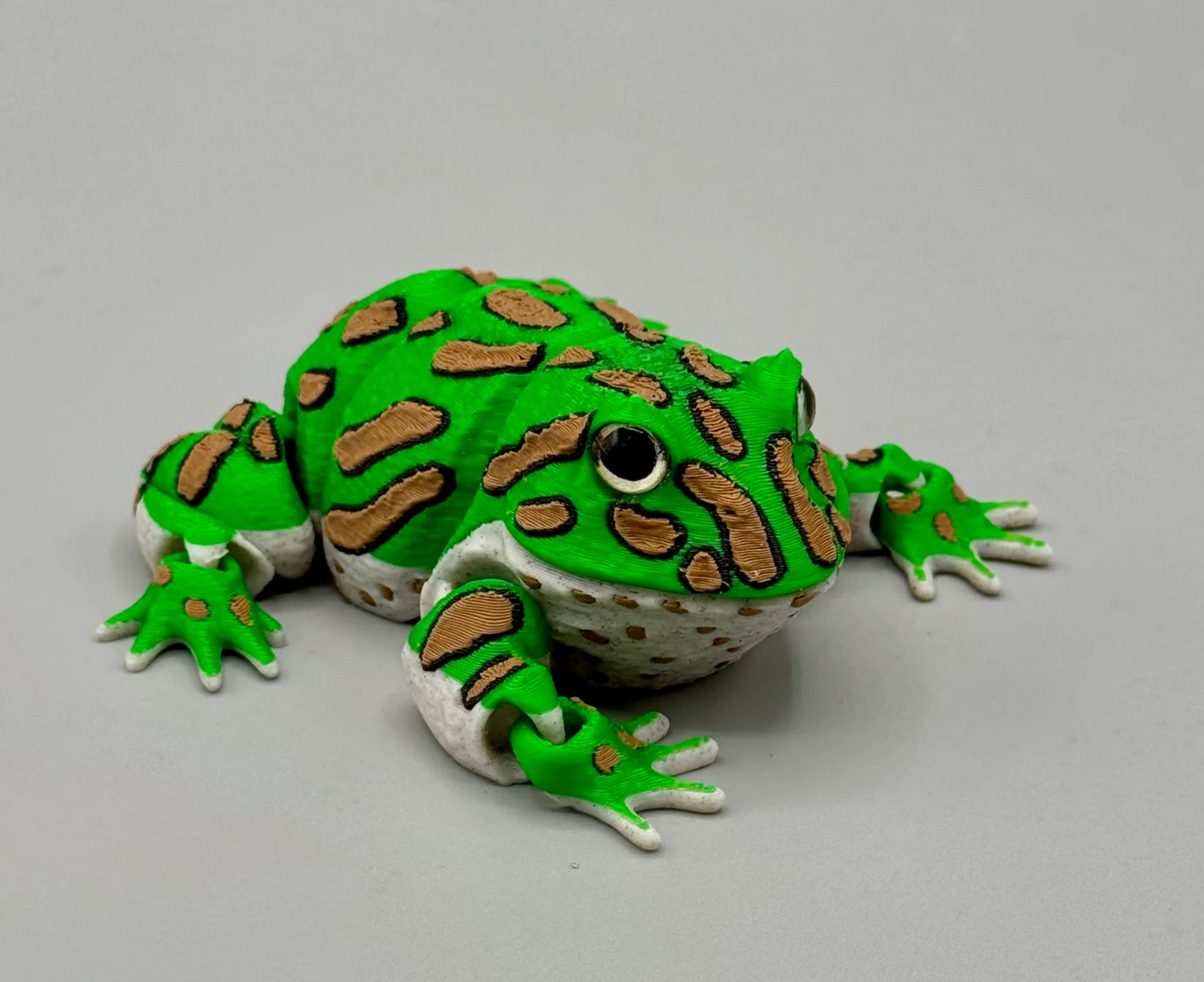 Schmuckhornfrosch  – Der gefräßige Hüpfer für dein Regal!