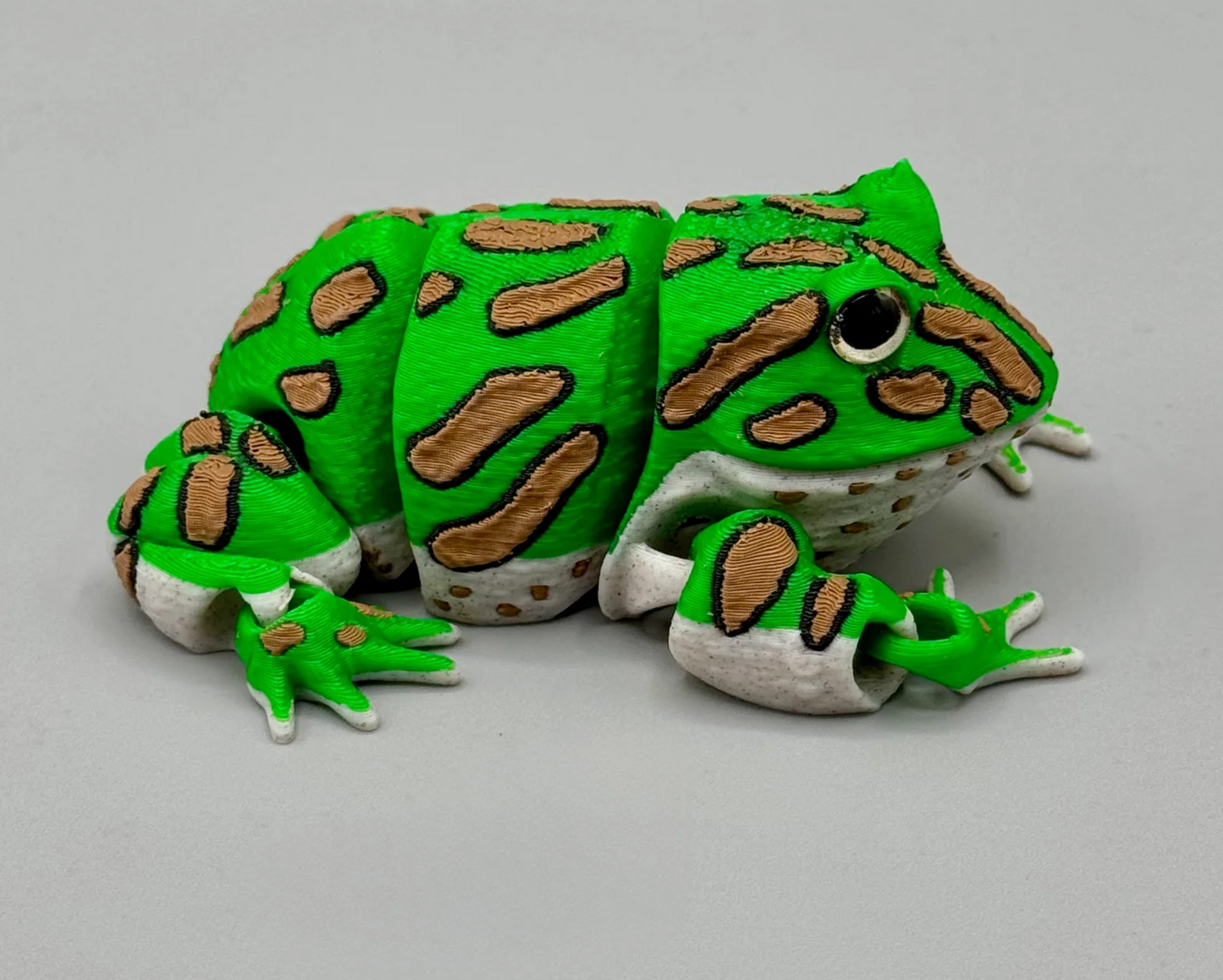 Schmuckhornfrosch  – Der gefräßige Hüpfer für dein Regal!