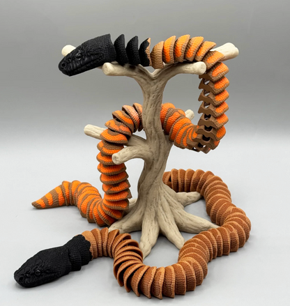 Schwarzkopfpython (Black Head Python) – Ein Stück australische Wildnis für dich!