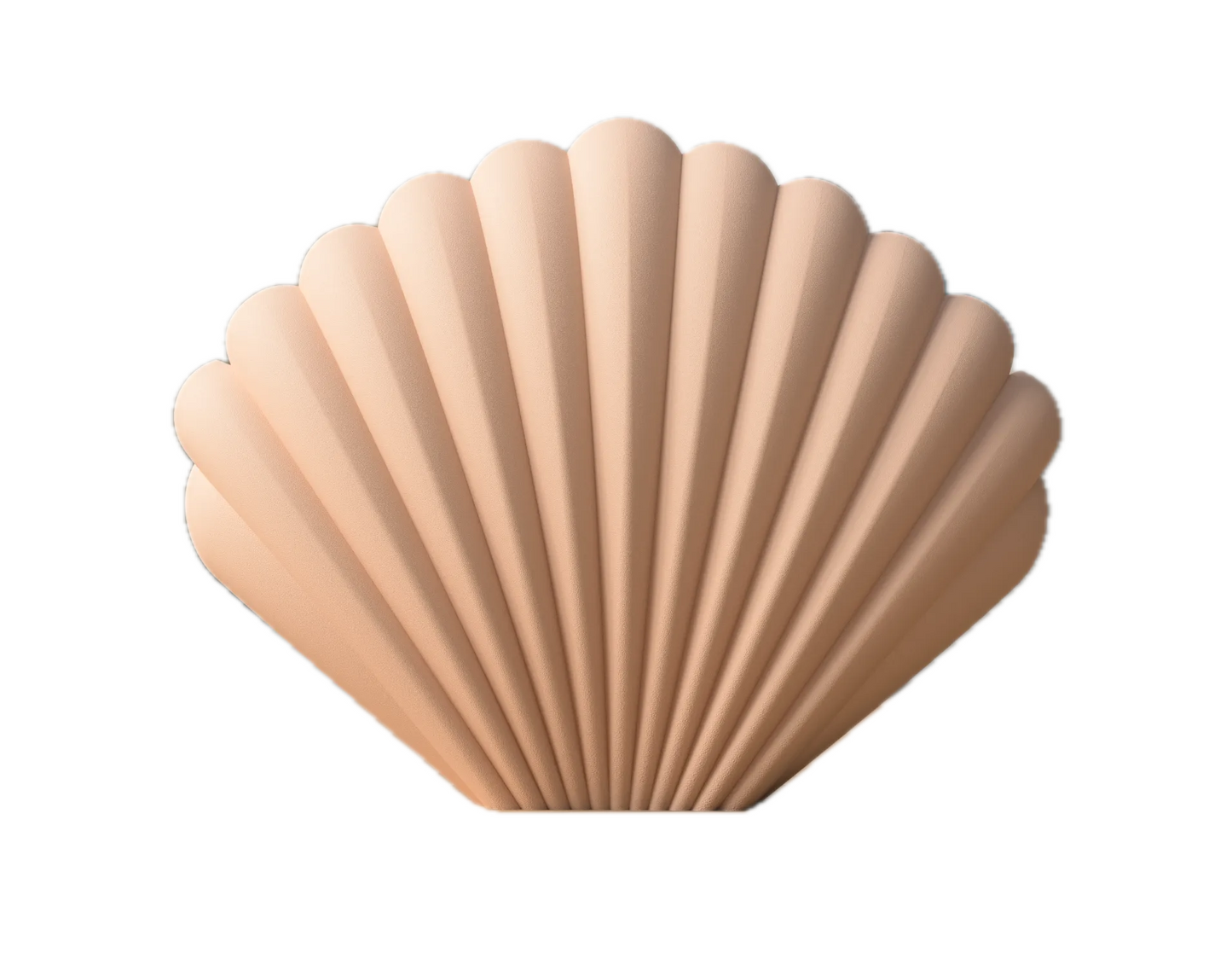 Oceana - Muschelvase in über 40 Farben