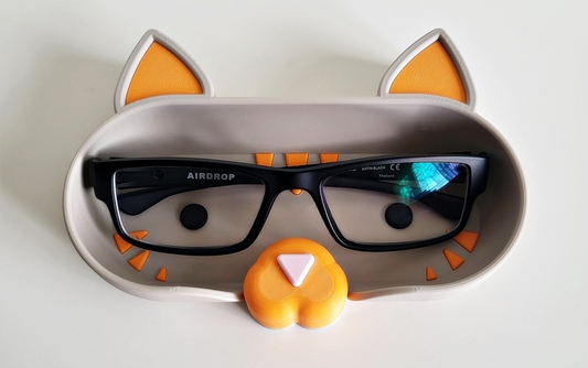 Eyeglass holder in cat design – house cats with style